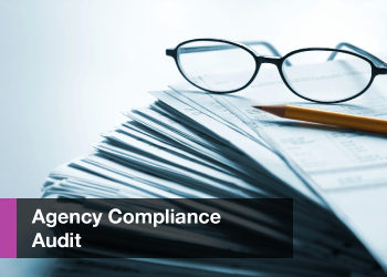 Agency audit