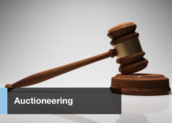 auctioneering